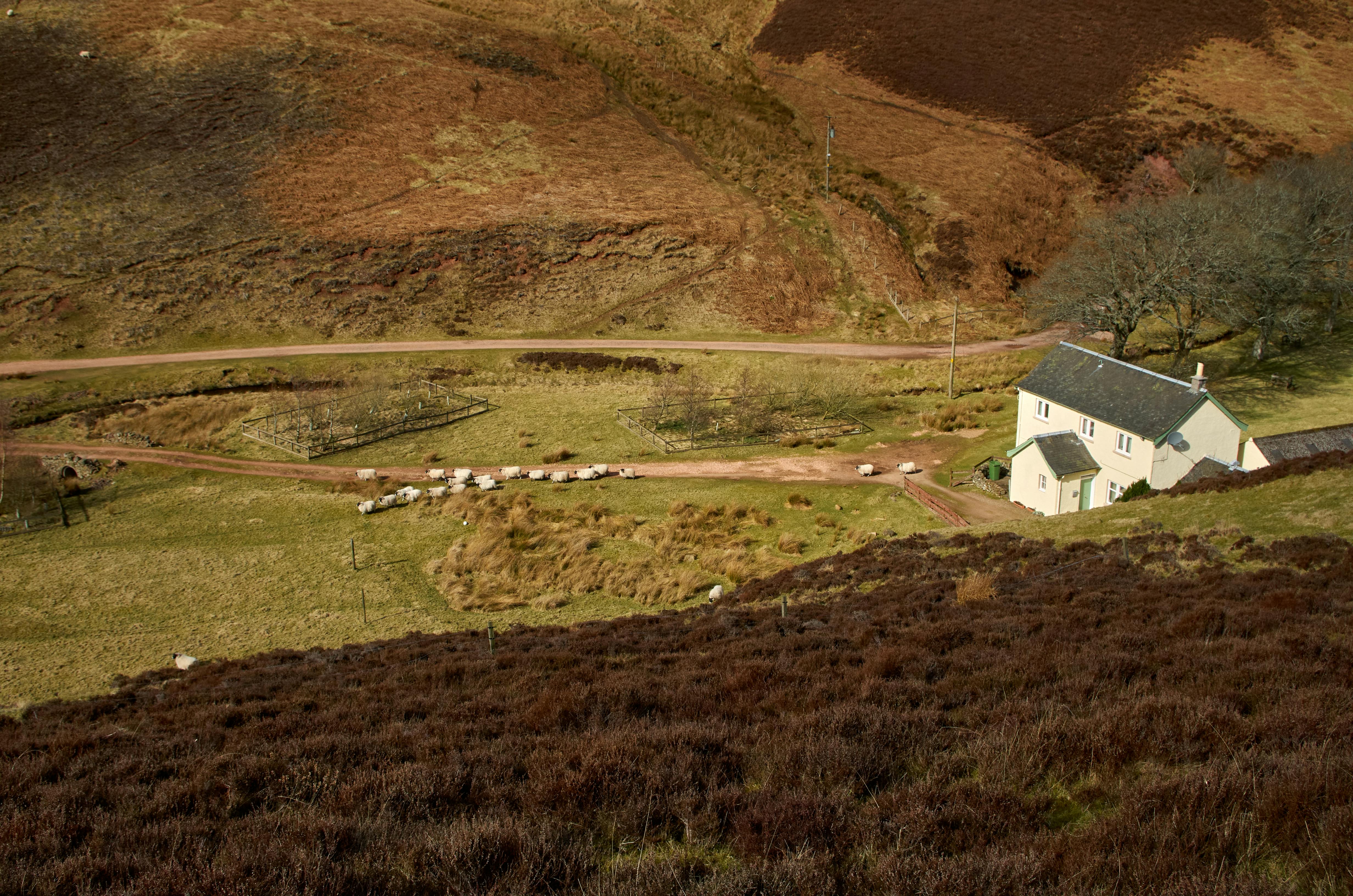 Buy a Country House UK: Best Locations, Mortgages, and Prices