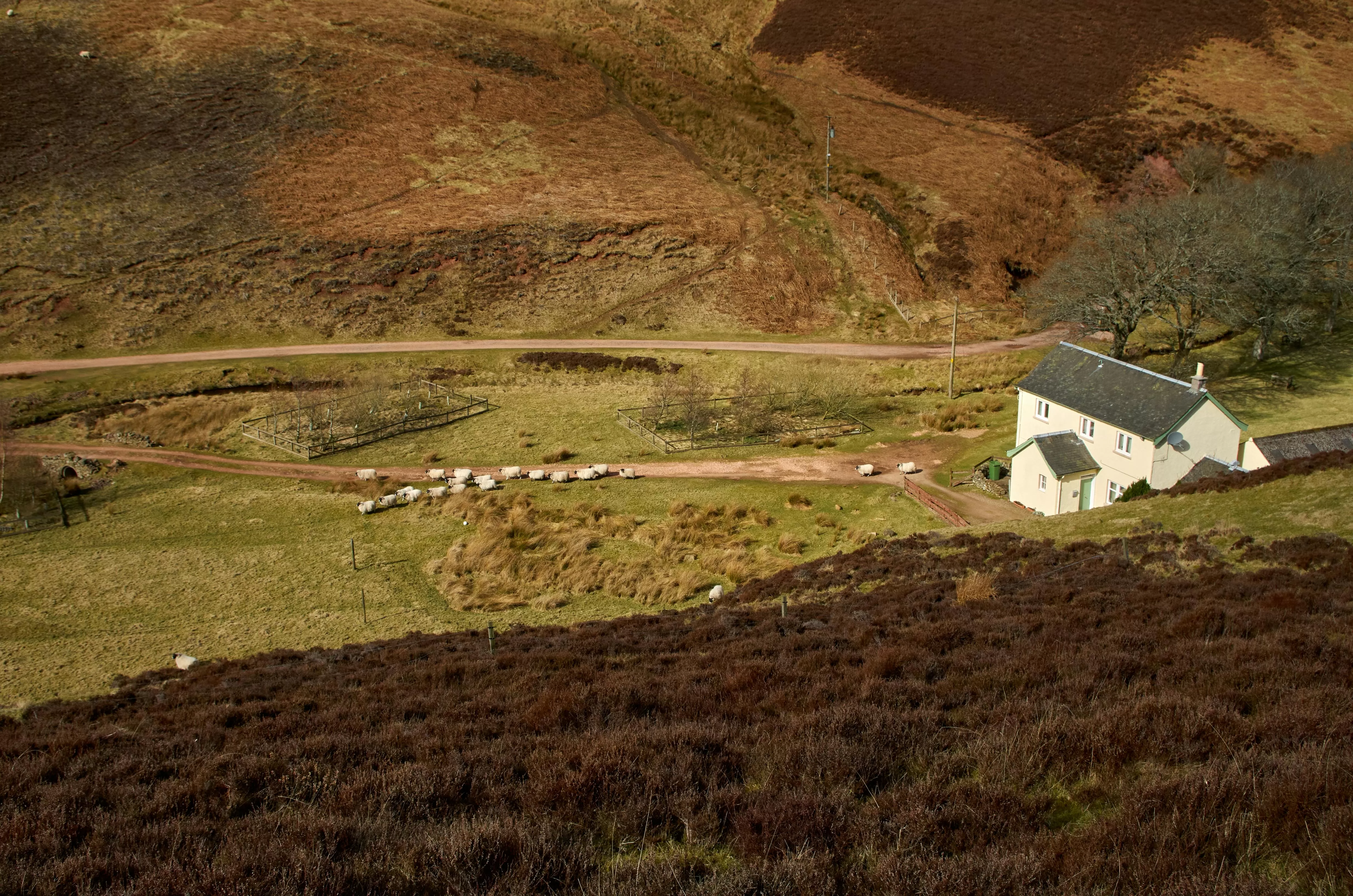 Buy a Country House UK: Best Locations, Mortgages, and Prices
