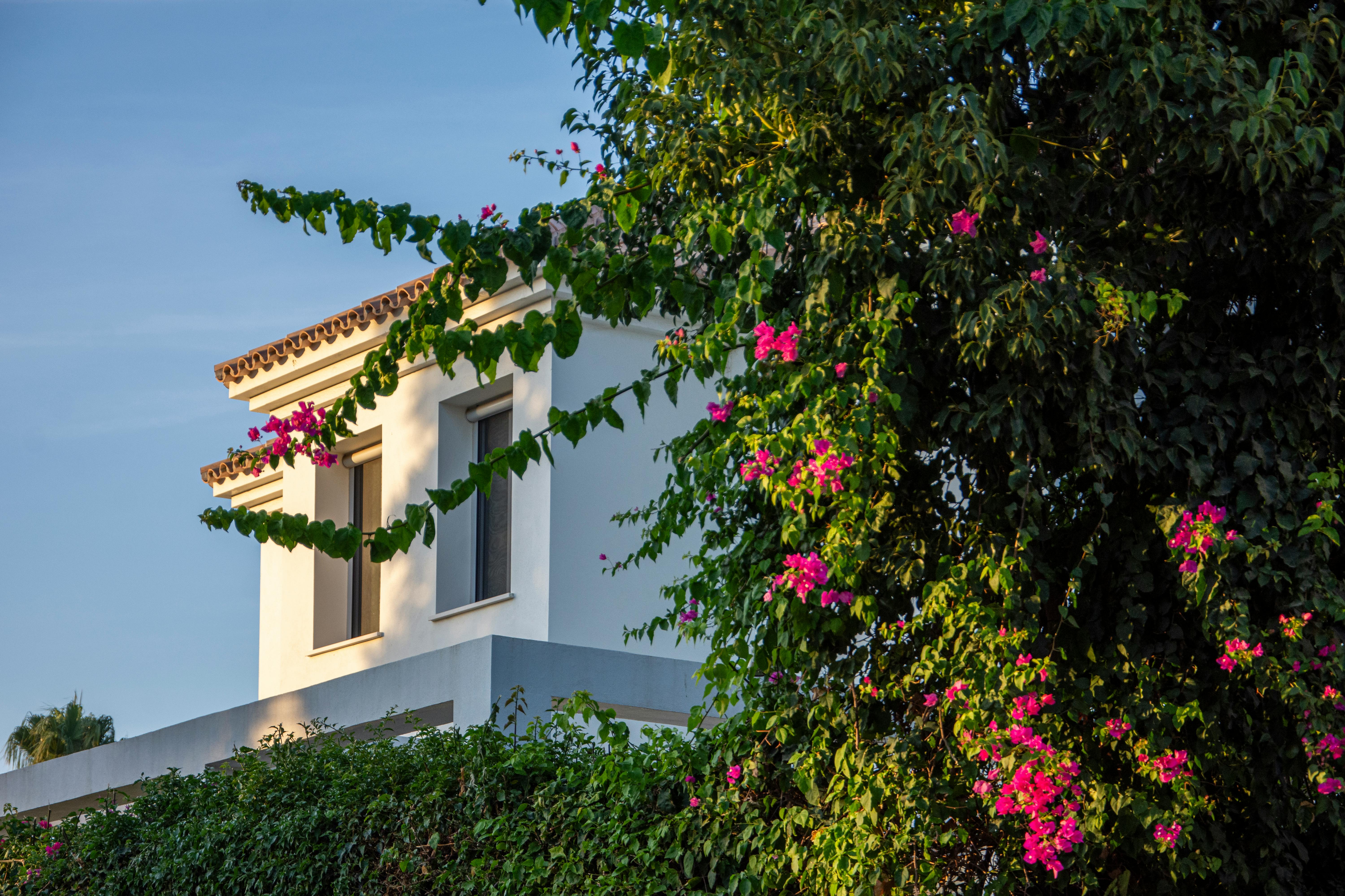 Can Foreigners Buy Property in Spain?