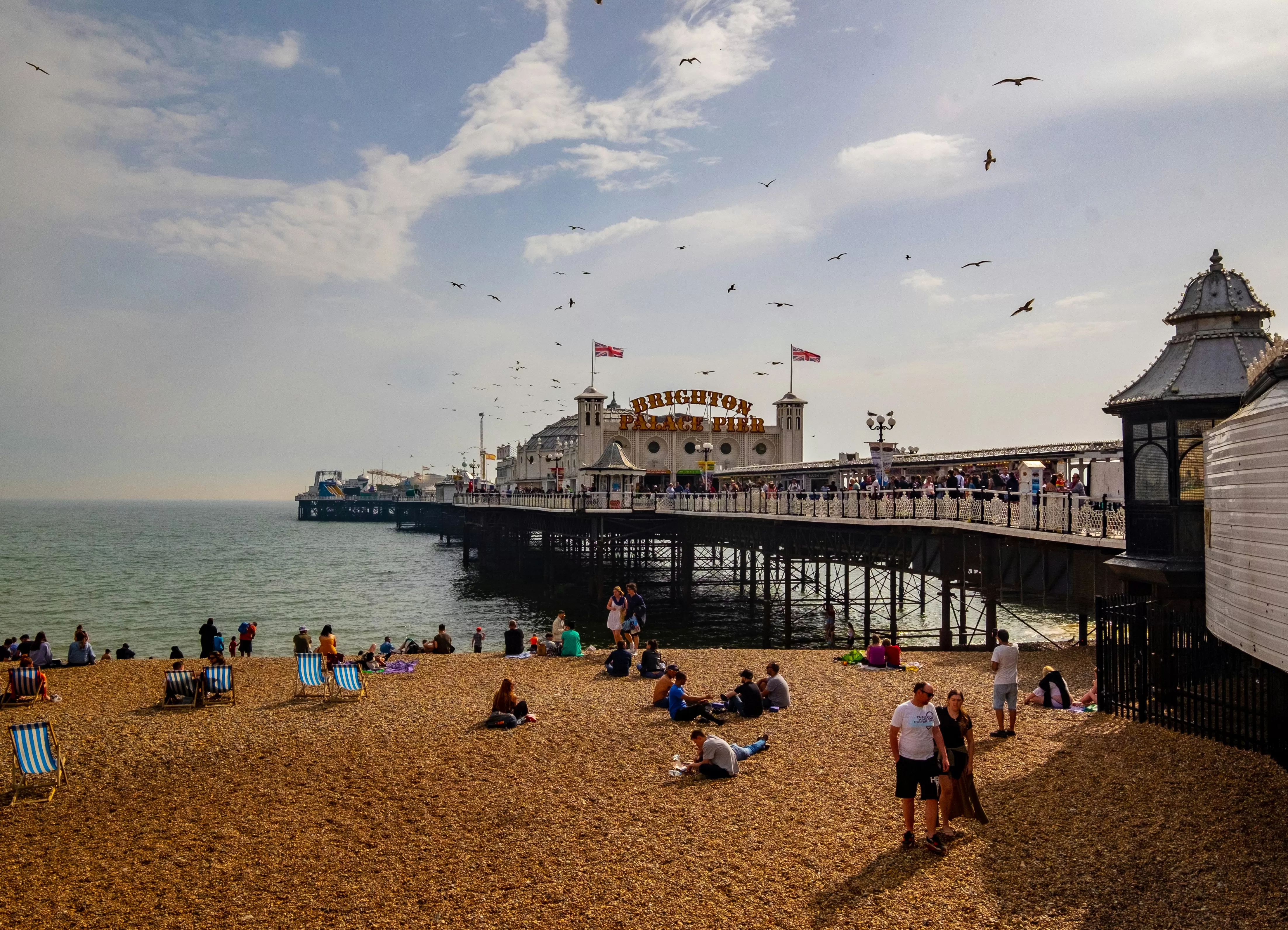 House with Swimming Pool in Brighton: Seafront and Suburban Pool Homes