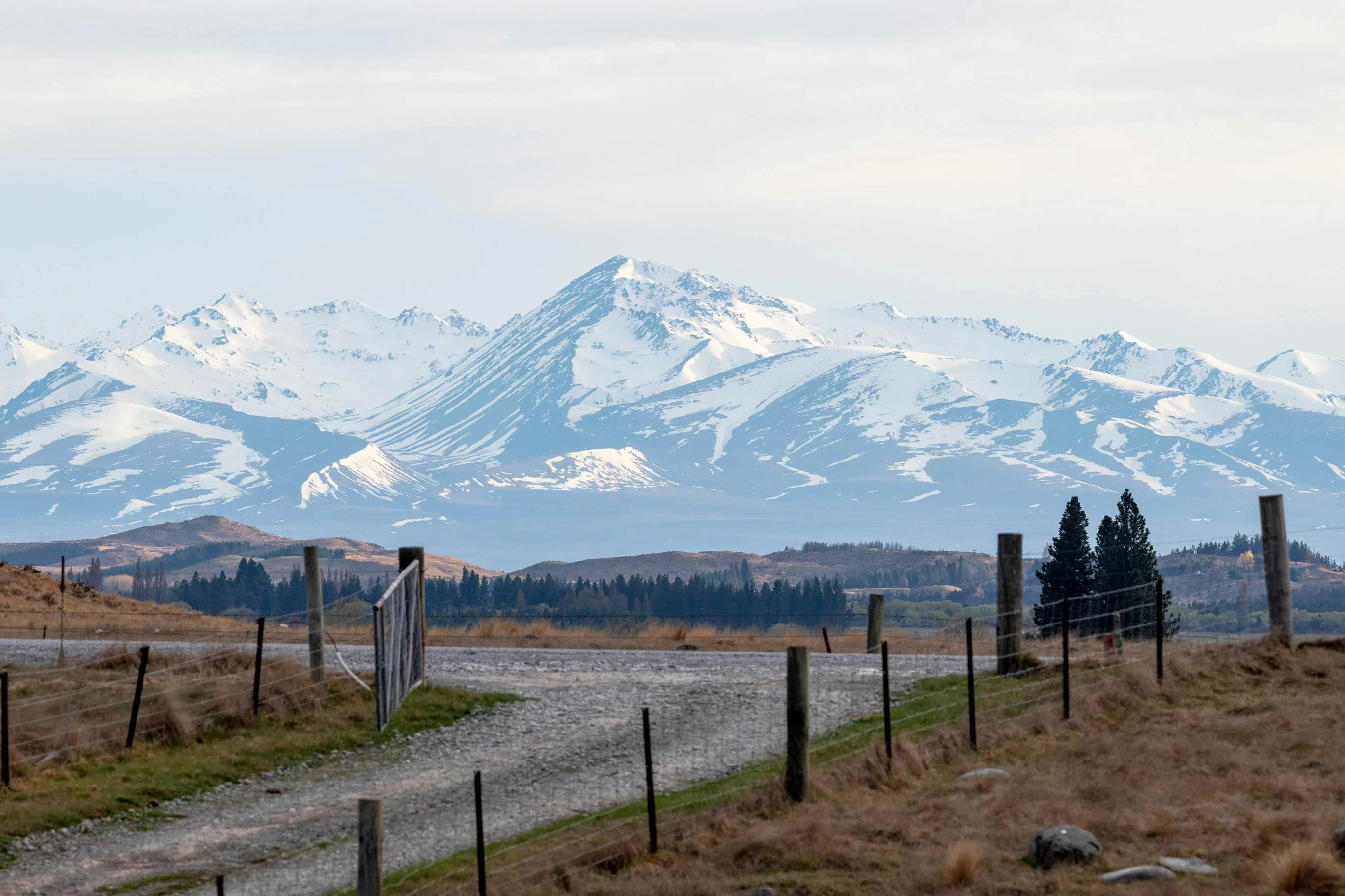 How to Buy a House in New Zealand: Eligibility, Costs & Legal Process Explained