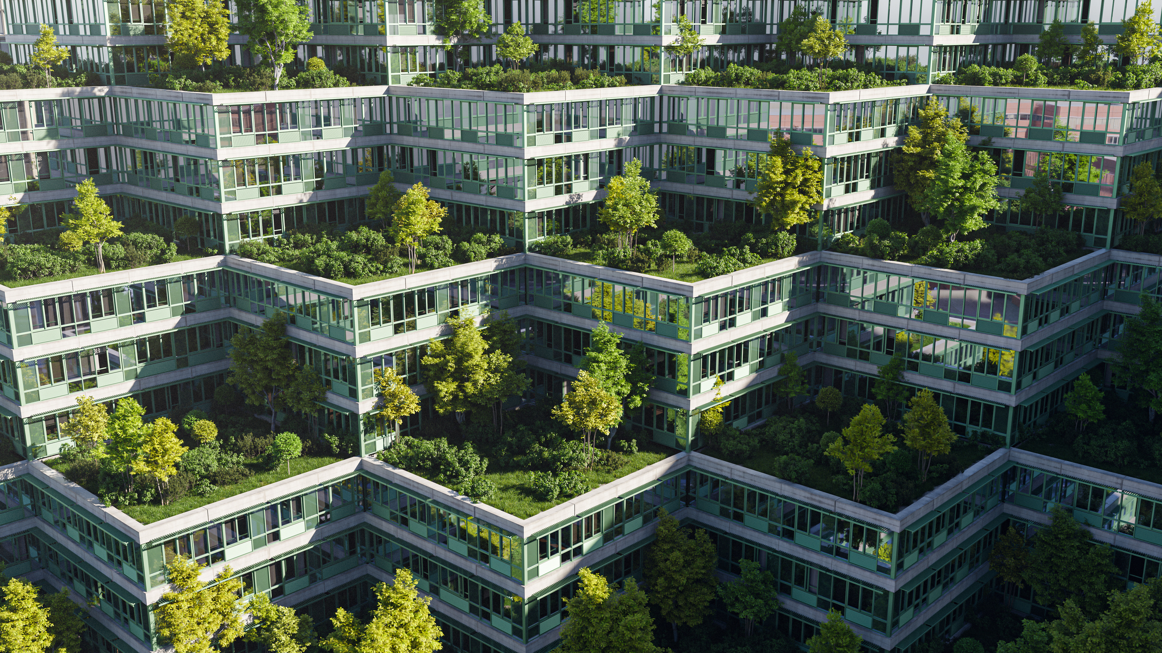 Invest in a Greener Future: Net Zero Homes in London, Ontario