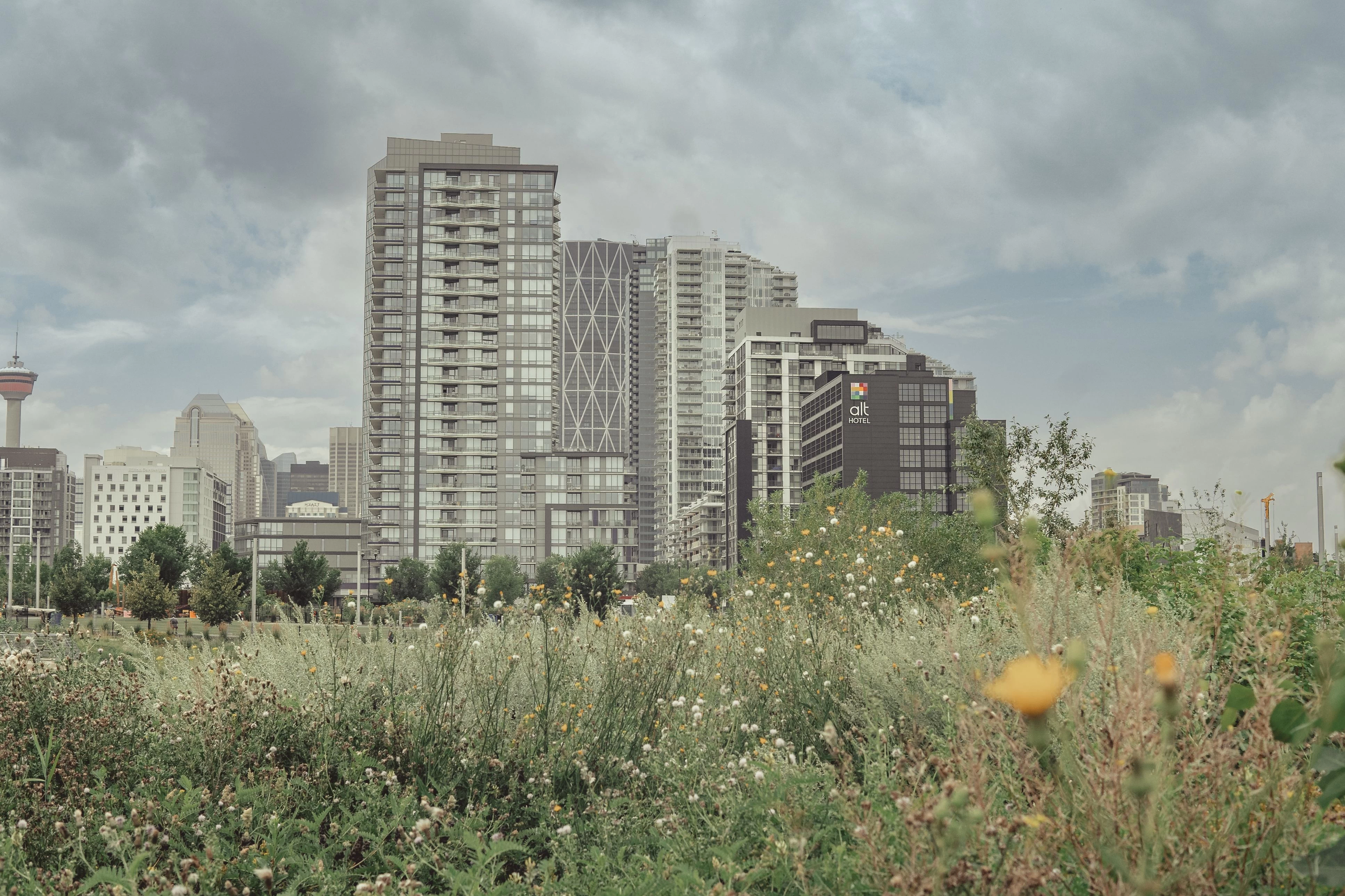 Rent to Own Homes Calgary: Affordable Path to Owning a Home in Calgary