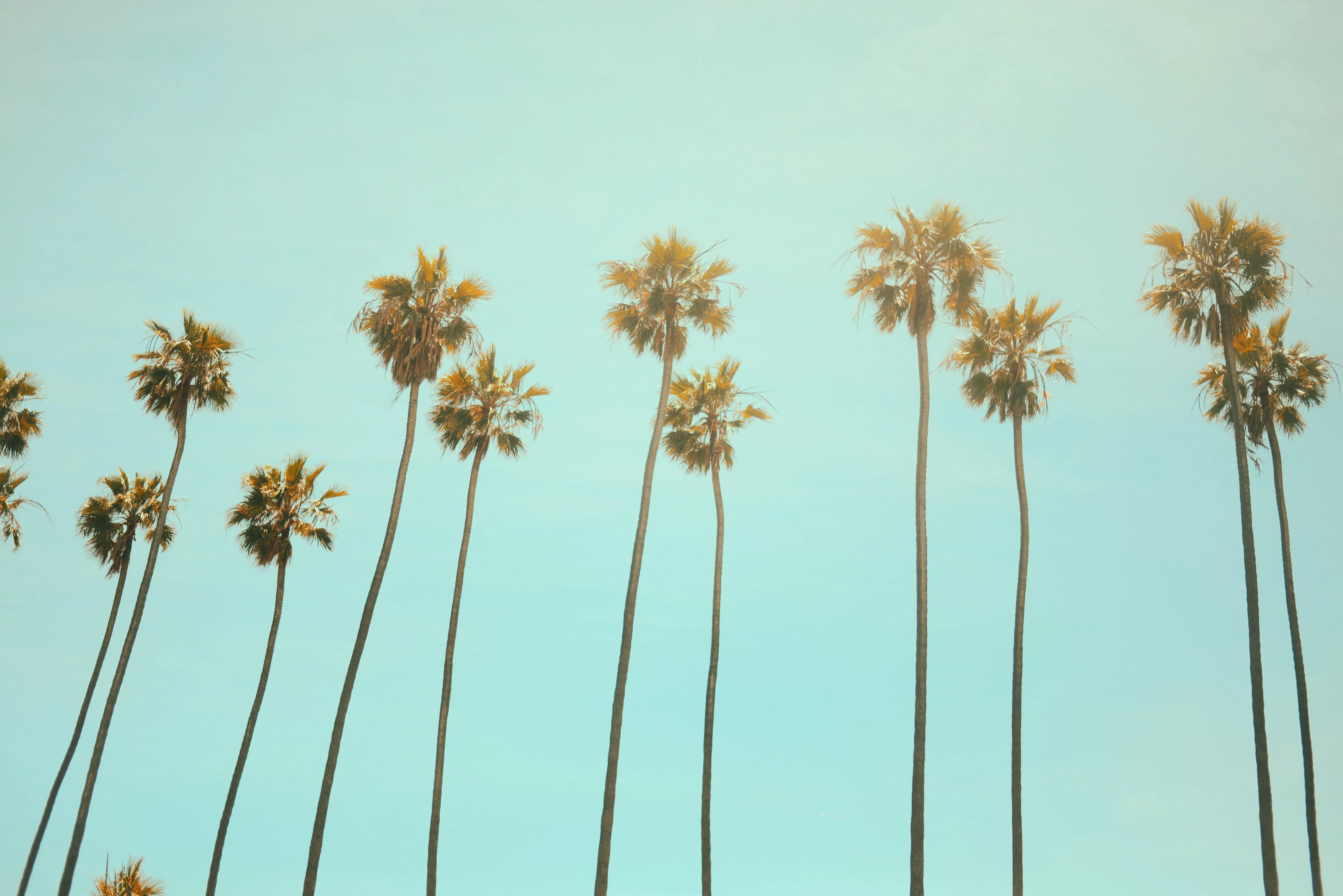 Selling a House in California: Taxes and Capital Gains Guide: