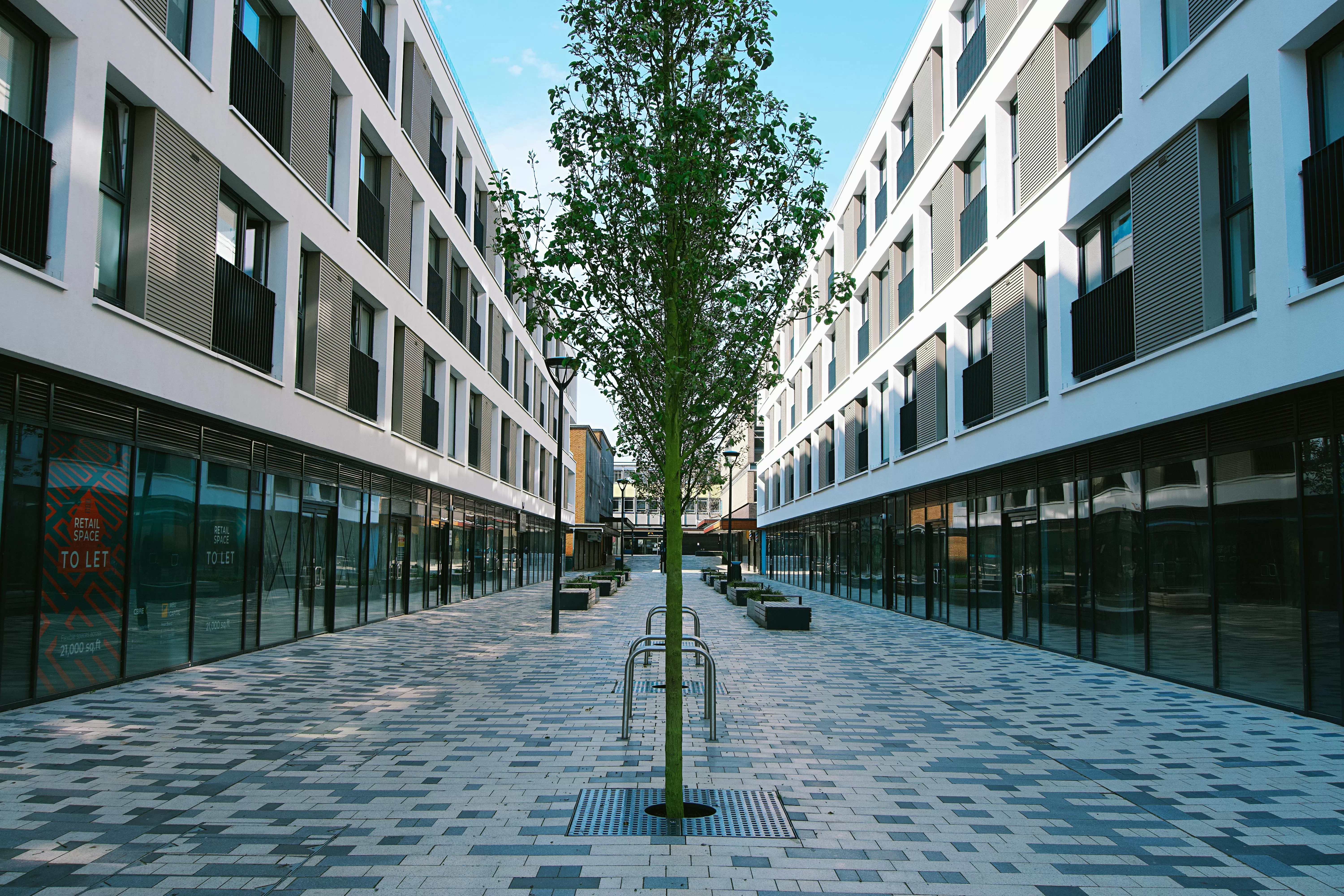 Simplicity’s Morningside Build-to-Rent Project: Redefining Rental Living in Auckland