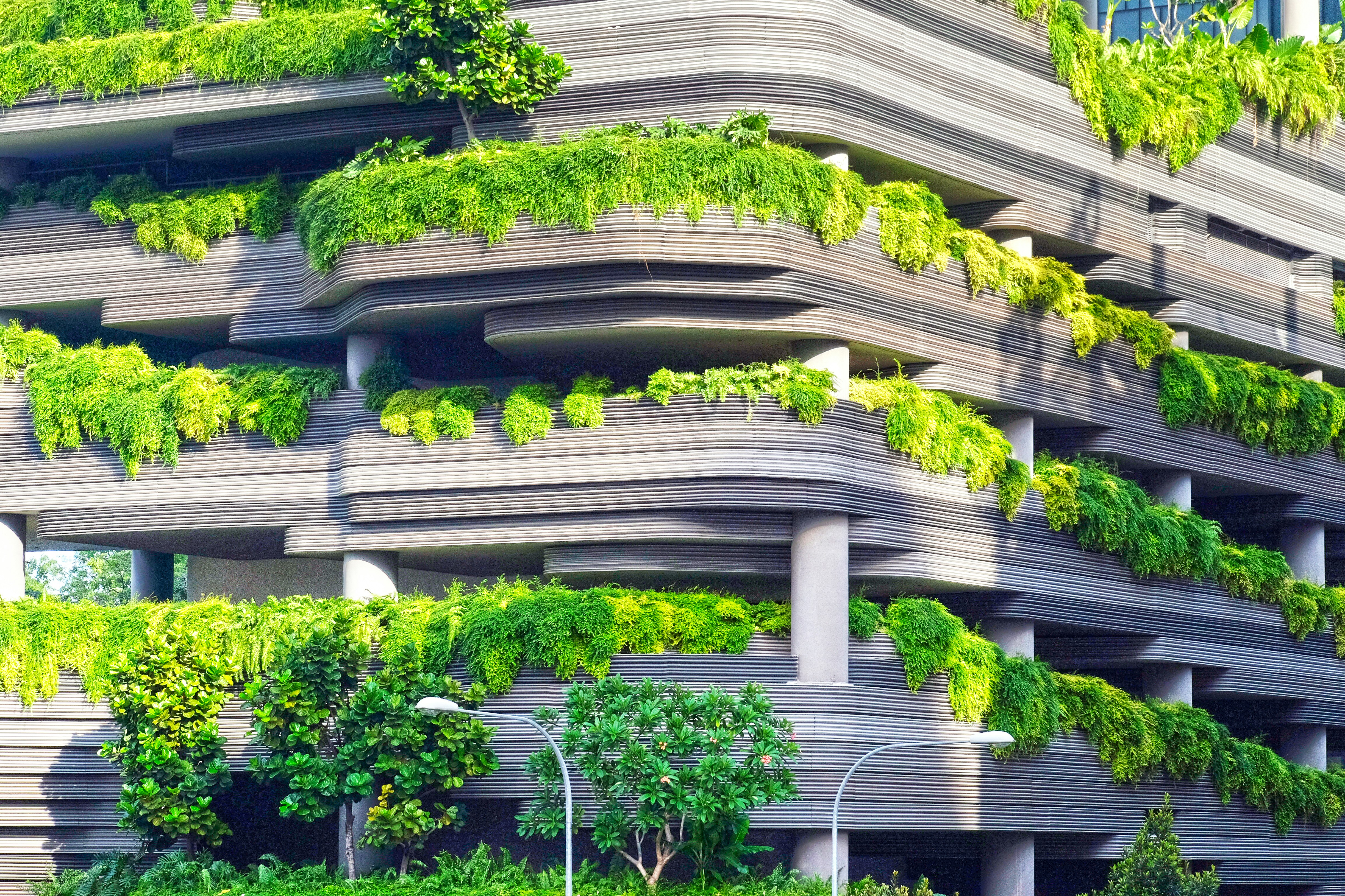 Sustainable Living: Eco-Friendly Homes in the UK